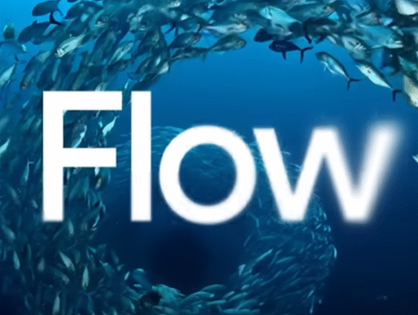 Google Flow Veo3 account 25000 to 45000k credit